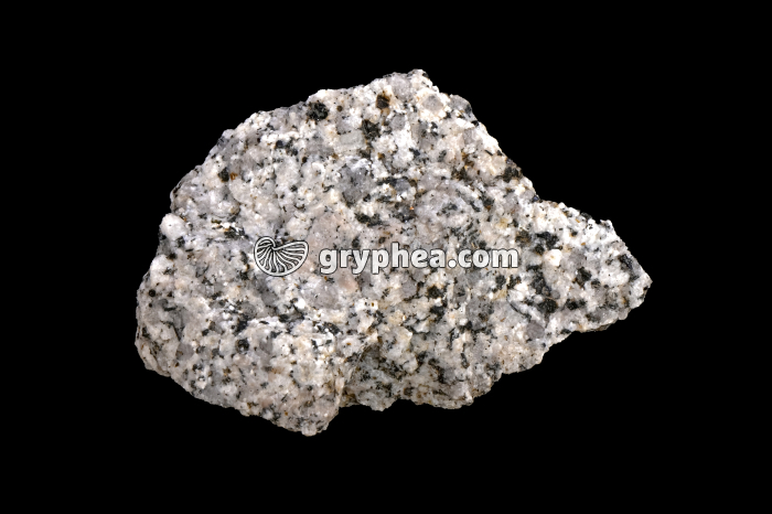 Granite - échantillon - gryphea.com